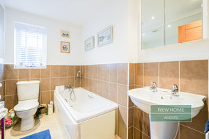 Photo 14- click for photo gallery